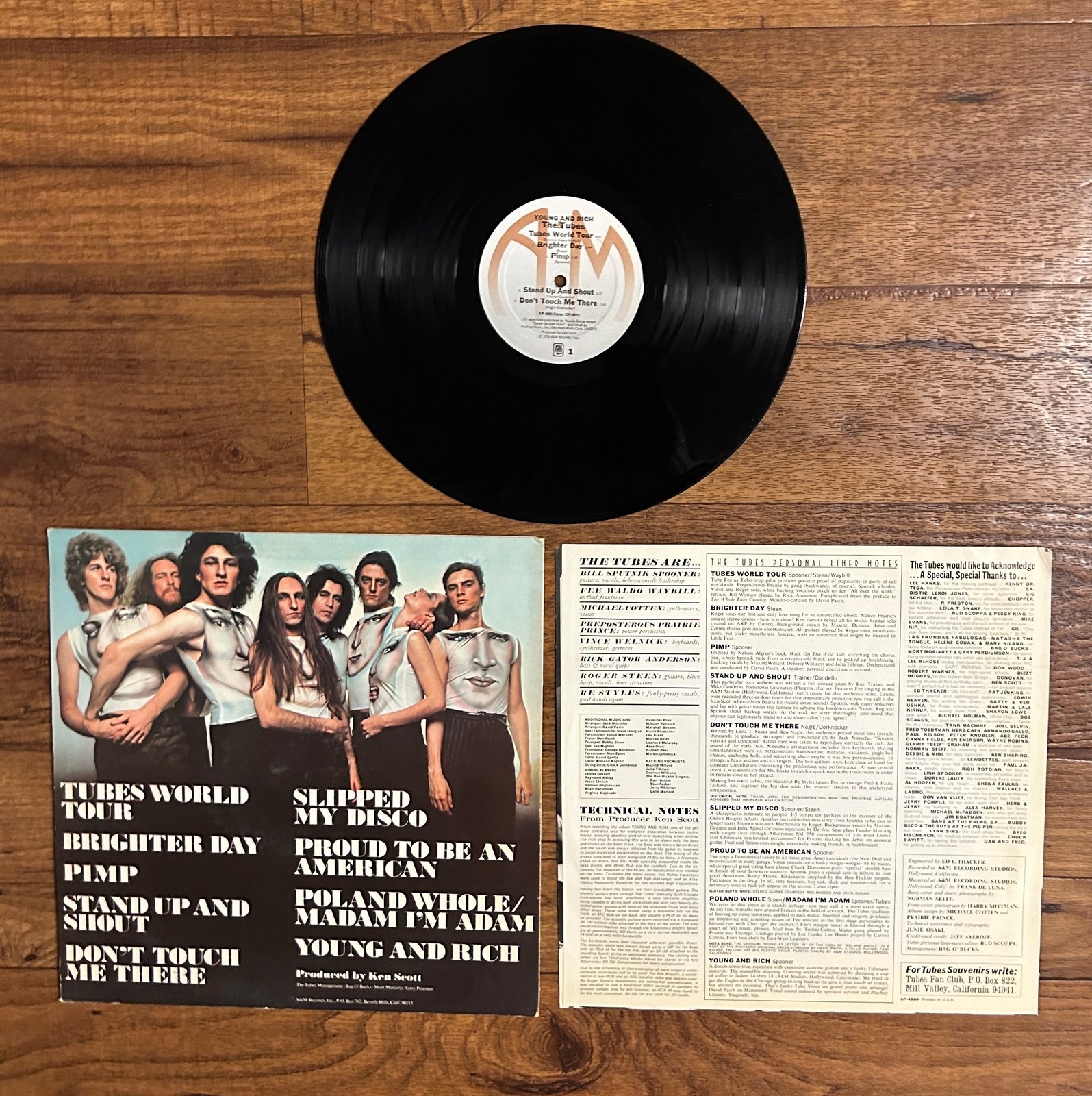 The Tubes~”Young And Rich" Original VINYL LP from 1976 (A&M SP-4580) - detail