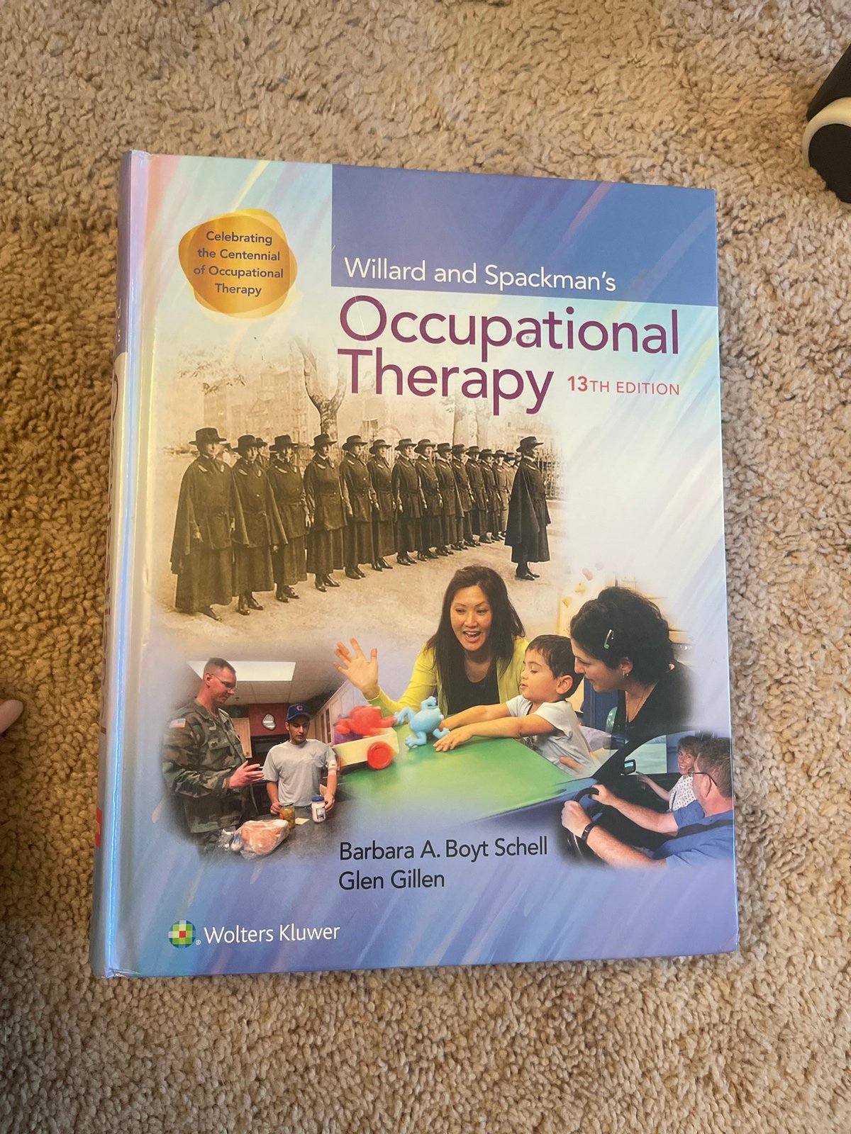 Occupational therapy Willard and spackman