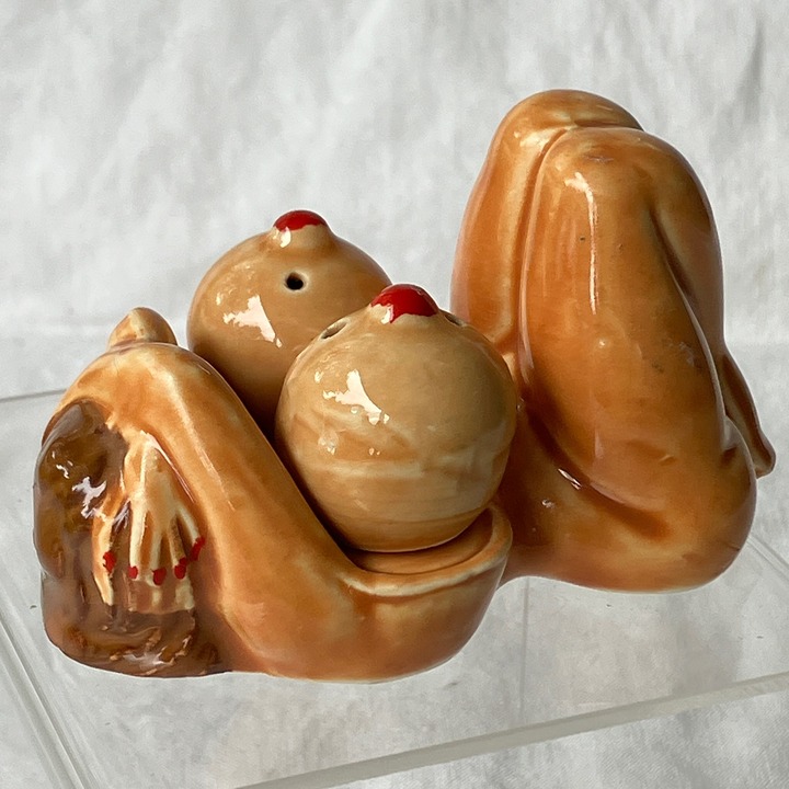 Novelty Naughty Lady Salt and Pepper Shakers