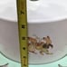 World Market Retro Metal Cake Carrier Bunnies Easter Locking Lid Mint Green