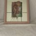 Framed Nautical Seahorse & Copperband Butterfly Fish Print By Paul Brent