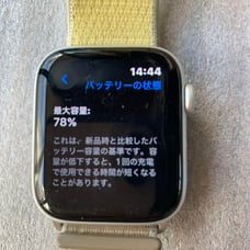 Apple Watch Series 5 44mm LTE Silver
