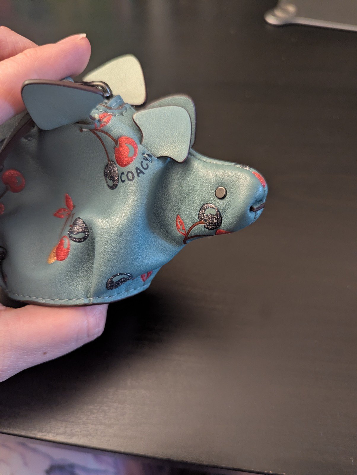 Coach Stegosaurus coin purse