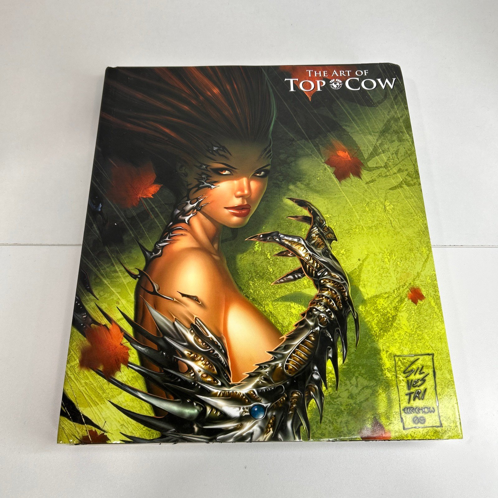 The Art of Top Cow Comics Hardback 1st Print 2009 - Witchblade The Darkness