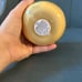 New DW Home ~ Vanilla Cupcake Scented Candle 12.9 oz - Vanilla Bean - Nutmeg