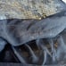 Zara Sequin Top