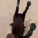 American Girl Doll Kaya's Mare Steps High