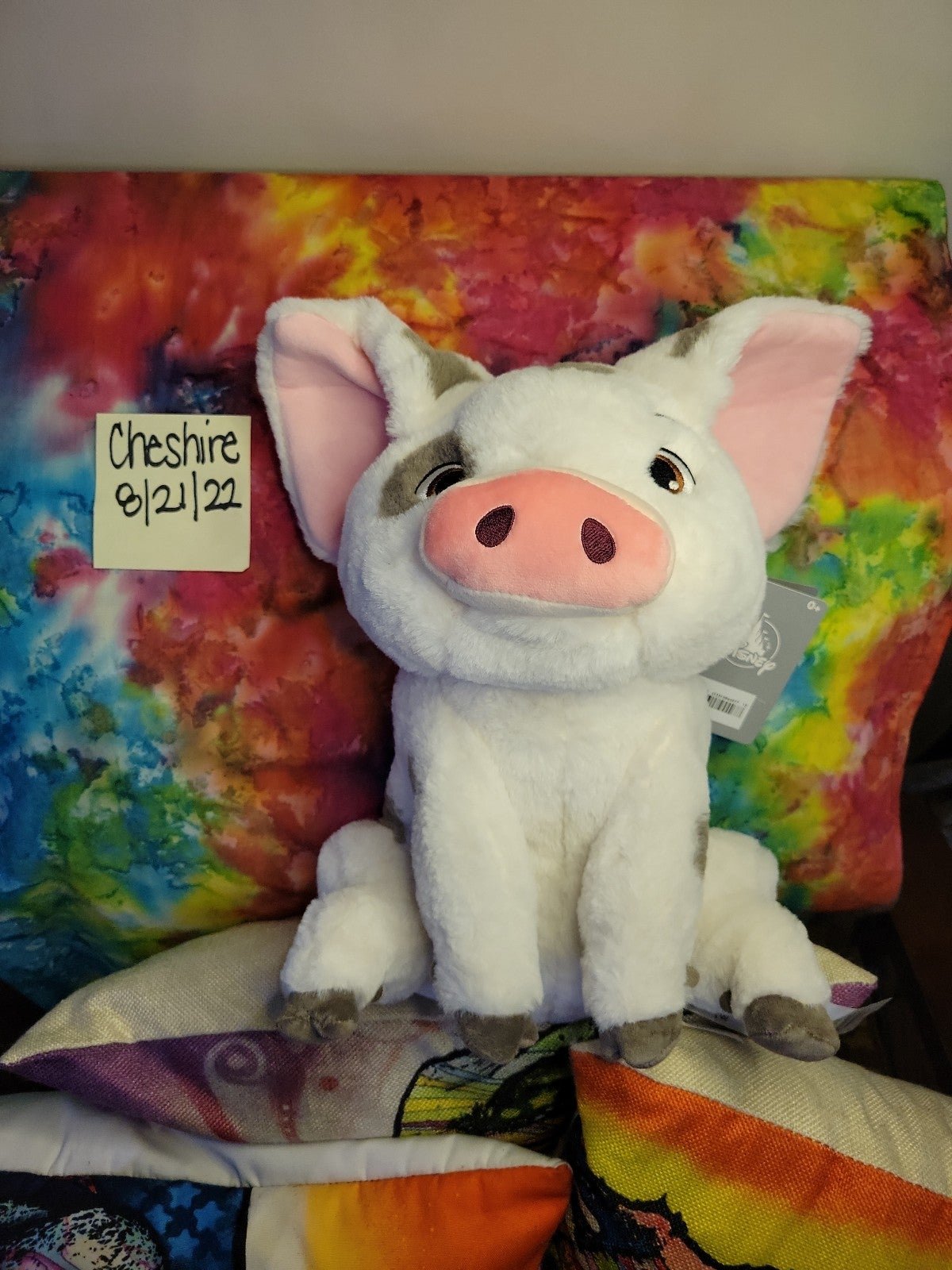 Disney Pua plush