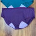 NEW Aisle Underwear Panties 3X Boost Organic Cotton Lot Of 2 Period Brief TT16