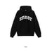 Stussy Sports Letters Hoodie NWT