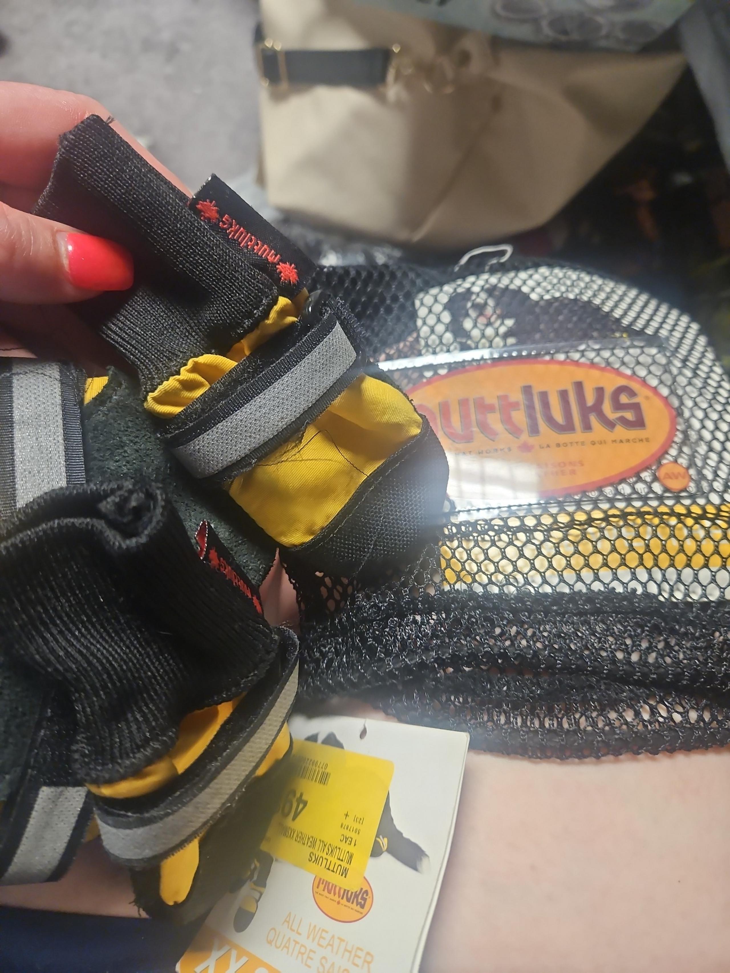 dog shoes