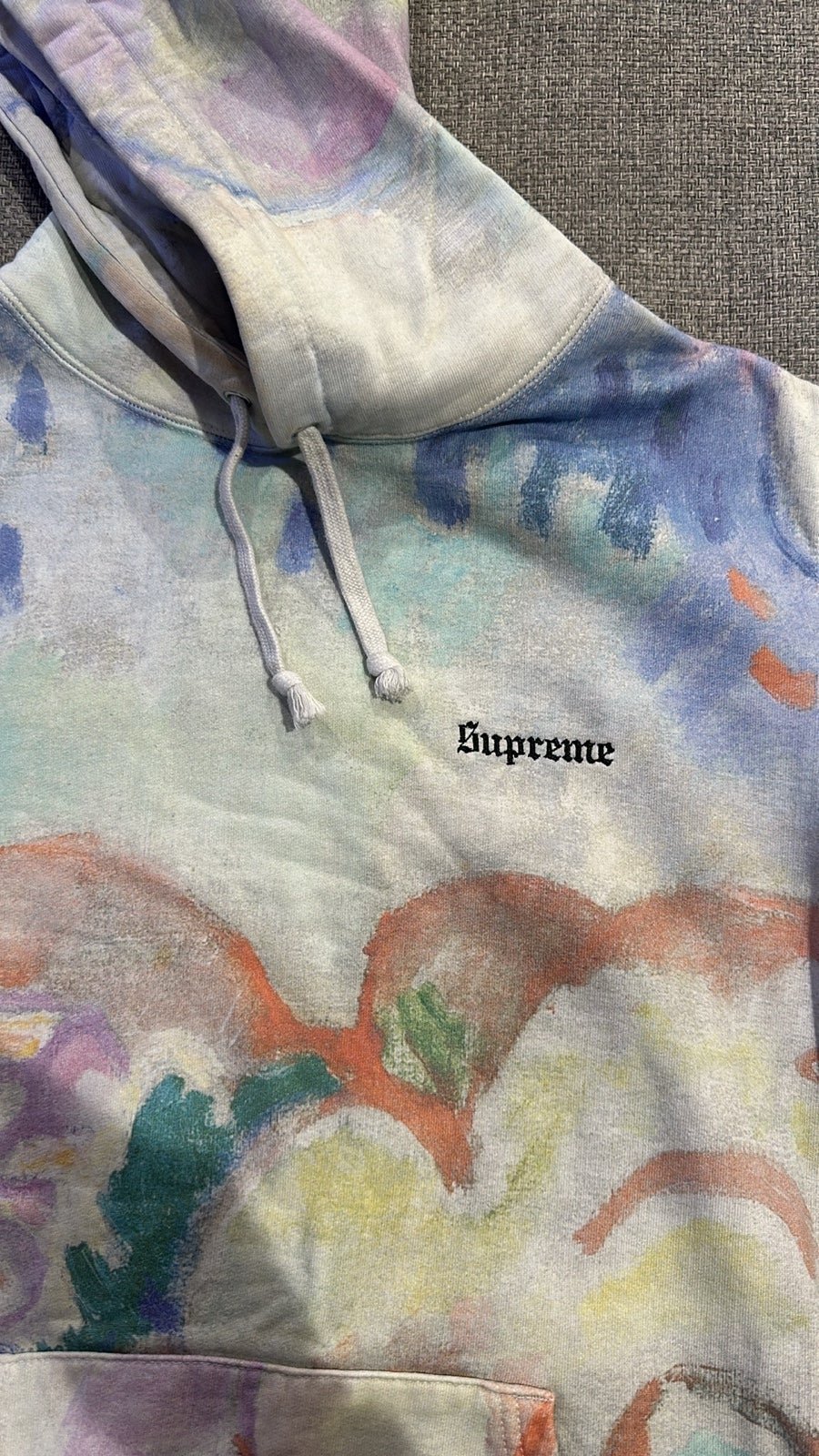 Supreme Landscape Hooded Sweatshirt