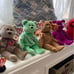 beanie babies RARE