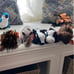 beanie babies RARE