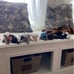 beanie babies RARE