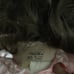 Beautiful doll in pink lace dress Signed Vintage