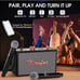 Niaufux Retro Karaoke Machine with Two Wireless Microphones, Portable Speaker