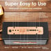 Niaufux Retro Karaoke Machine with Two Wireless Microphones, Portable Speaker