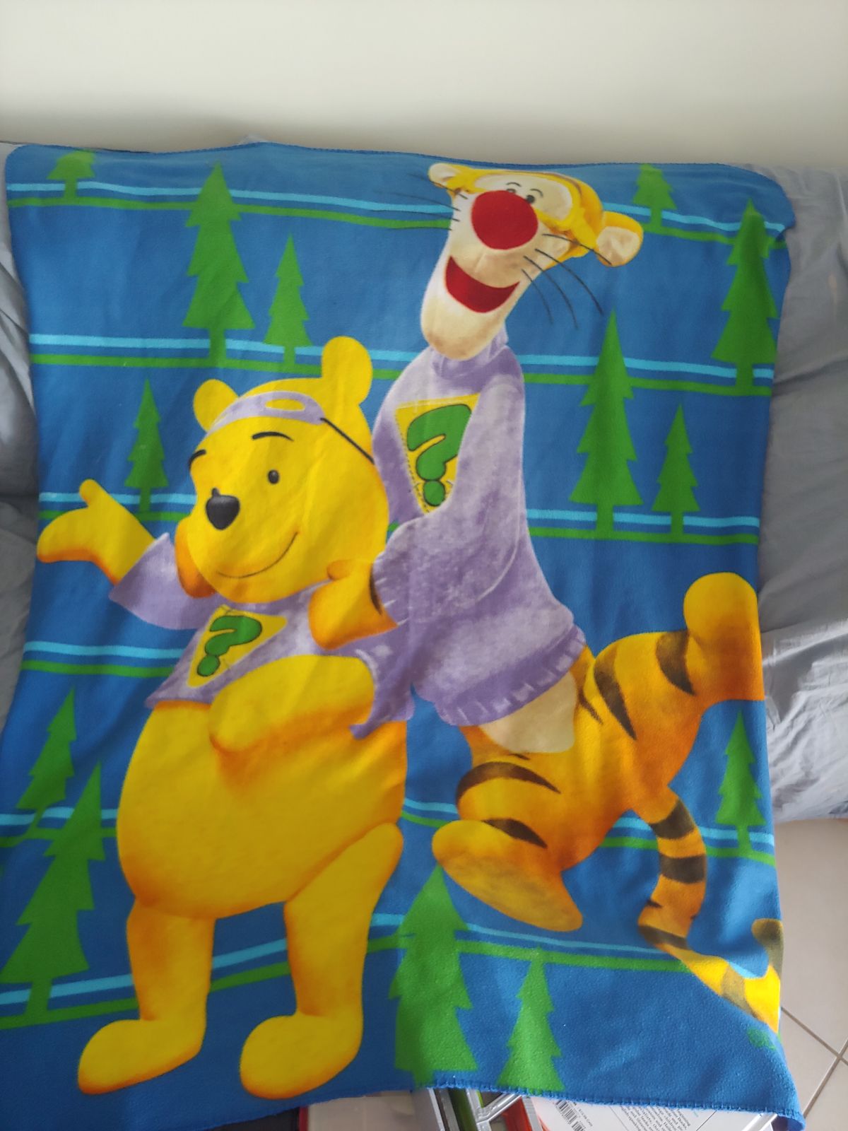 Disney Winnie the Pooh Tigger blanket