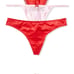 VS Dream Angels Panty Set