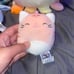 A bundle of three squishmallows