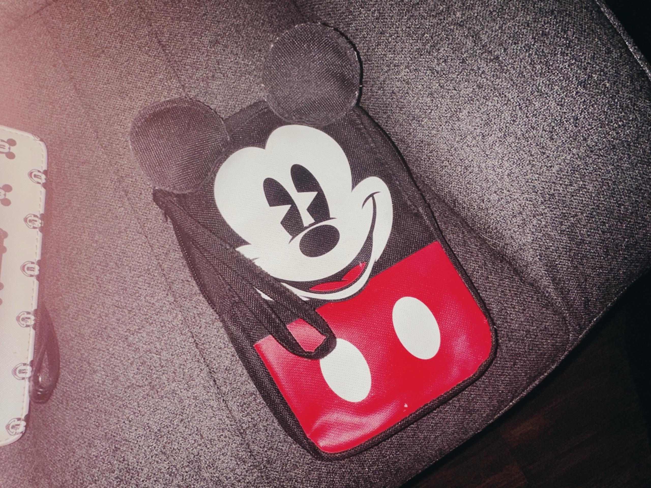 Vintage Disney Bag