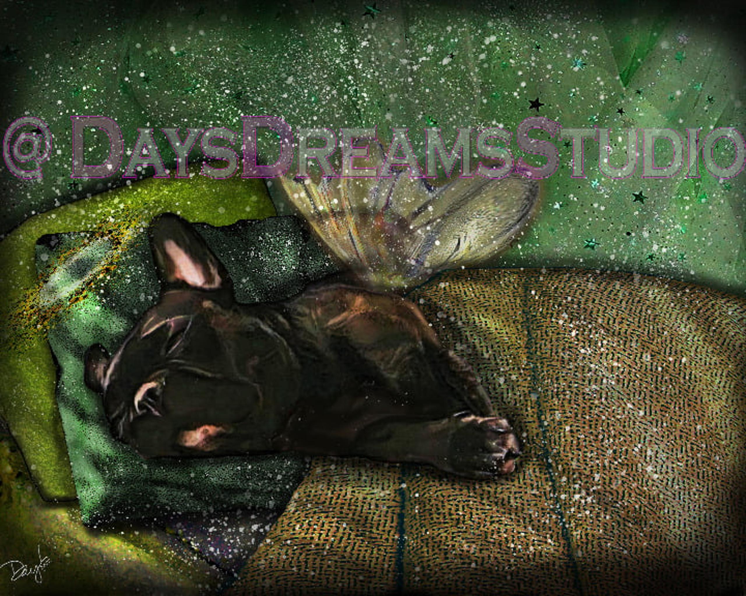 Black Dark Brindle French Bulldog Frenchie Angel Halo Wings Sympathy Memorial
