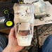 Losi mini t