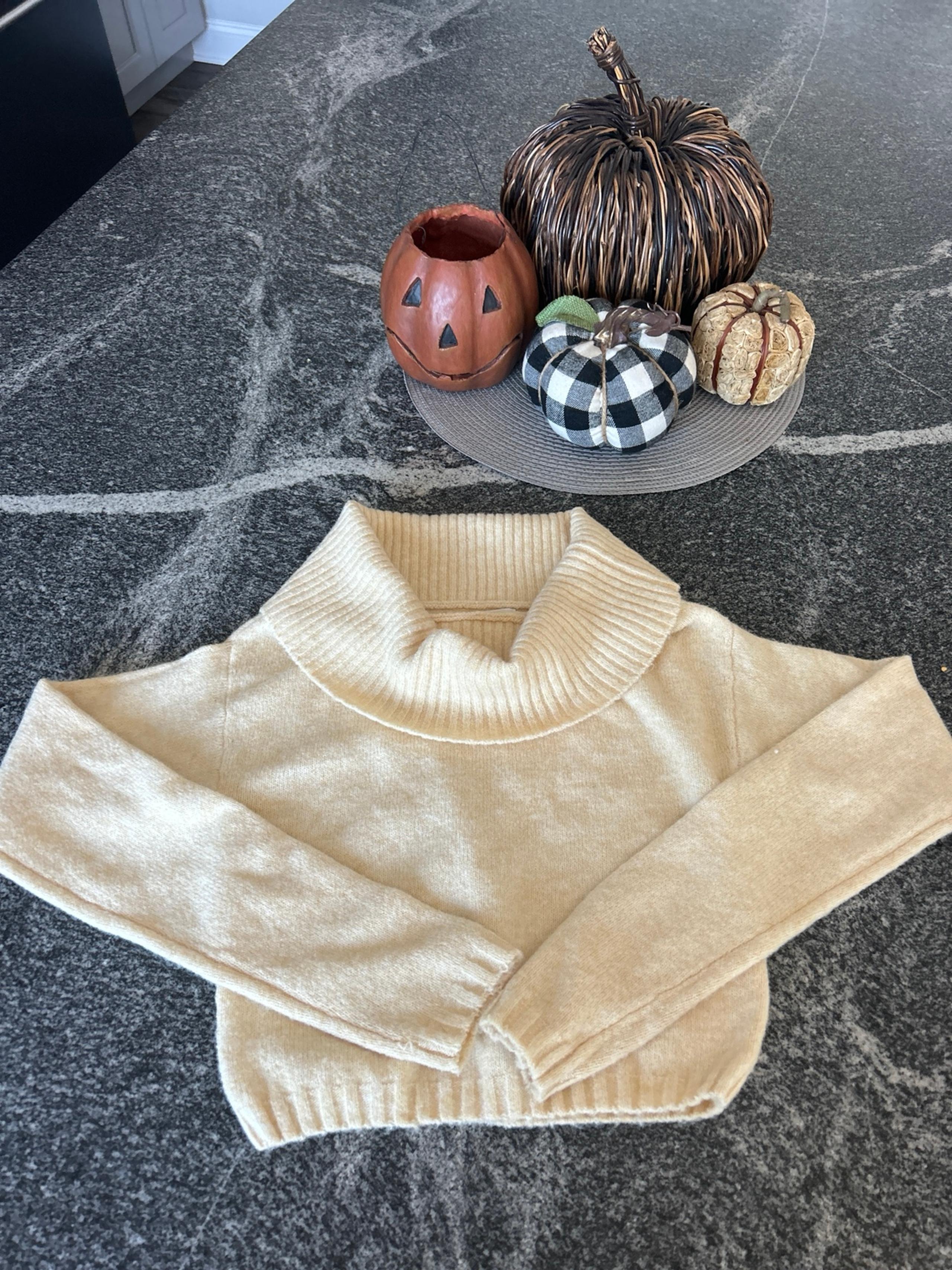 silence and noise cowl neck sweater