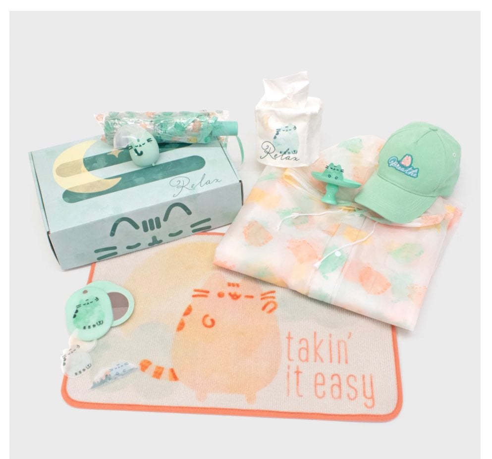 Complete Spring 2021 Pusheen Box NEW