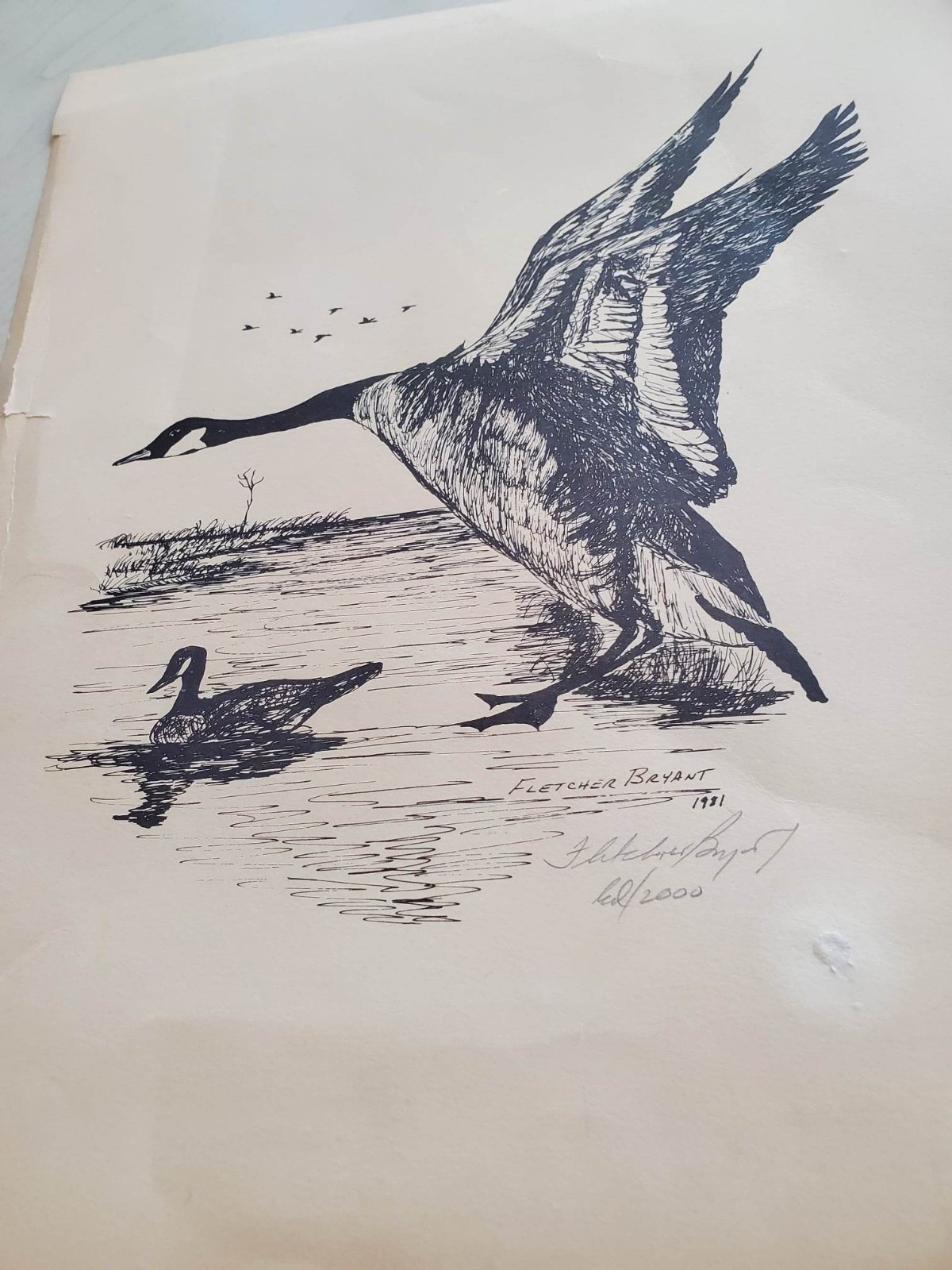 ORIGINAL SIGNED CANADIAN GEESE PRINT