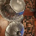 Peltrina Argentina Pewter Cabbage Bowl Covered Ice Bucket Lidded Silver