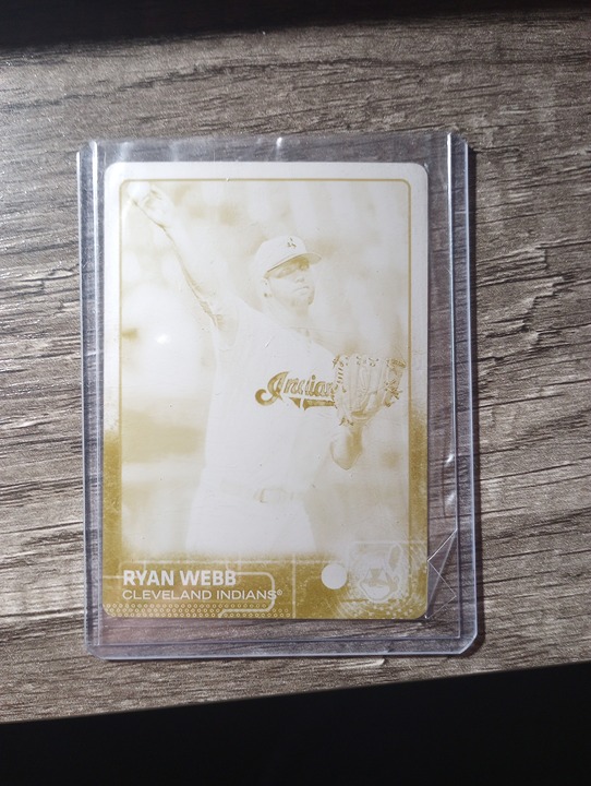 Ryan Webb