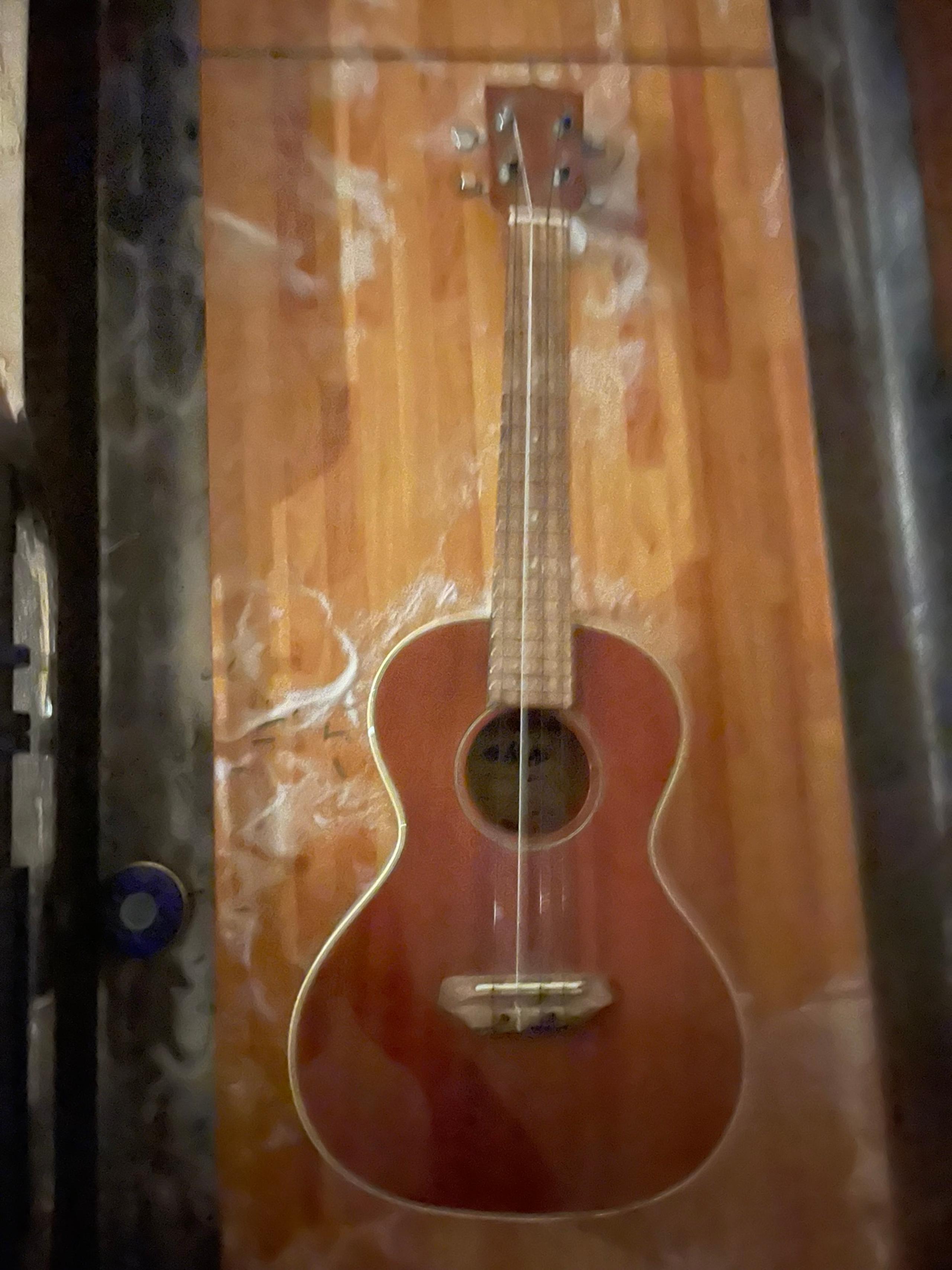 Guitar