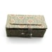 Hand Painted Fish & Engraved Bone and Horn Snuff Bottle w/ Box