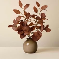 Hearth & Hand 15.5 Faux Rusted Silver Dollar Eucalyptus Fall Arrangement
