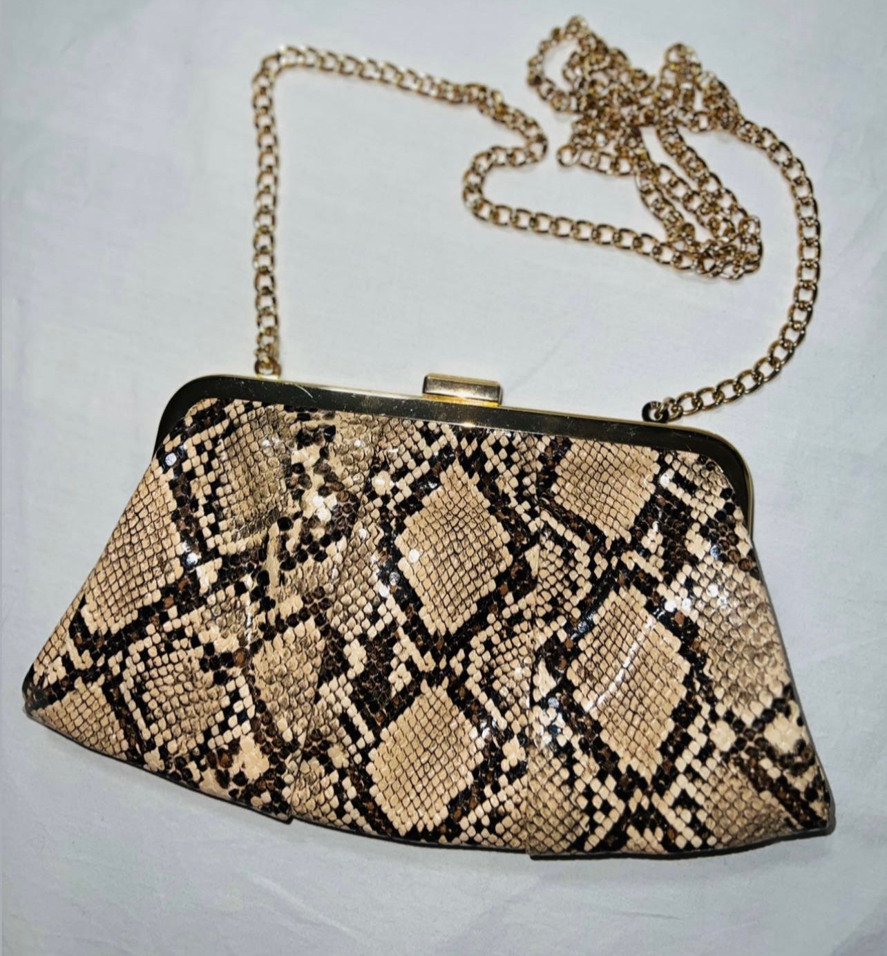 Snakeprint Purse