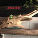 Driftwood for your aquarium
