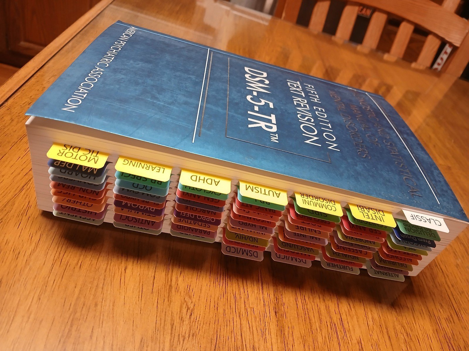 DSM 5 TR With Tabs Put In