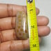 Fossil Coral Natural Gemstone Cabochon