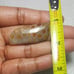 Fossil Coral Natural Gemstone Cabochon