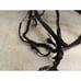 Yamaha 305 YM1 BIG BEAR Main Wire Harness 1965 PA AP-321