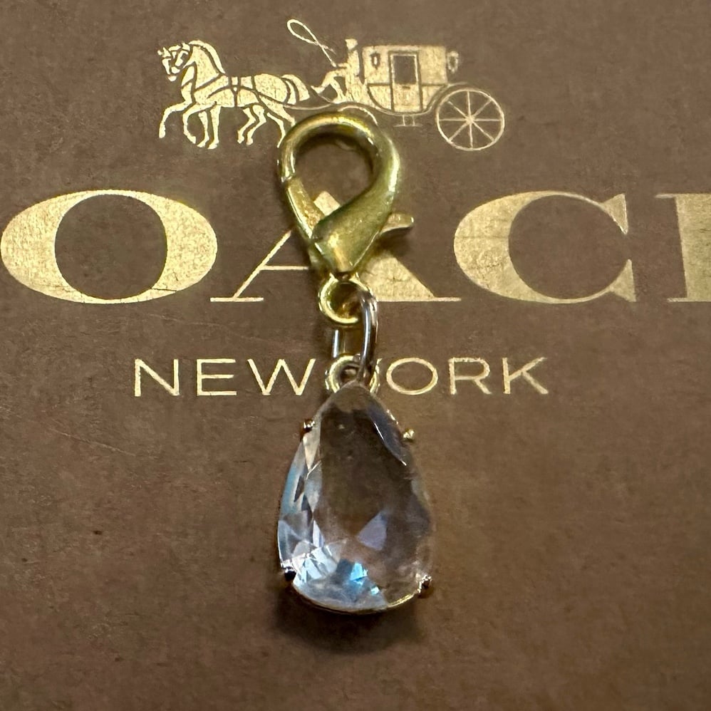 Coach Large Teardrop Zircon Wristlet Bag Charm