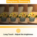 Cordless Sunflowers Table Lamp, Dimmable LED Touch Beside Lamp