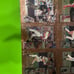 1998 Topps Focal Point Card Set Full - 15 Players in 1 Full Sheet Uncirculated