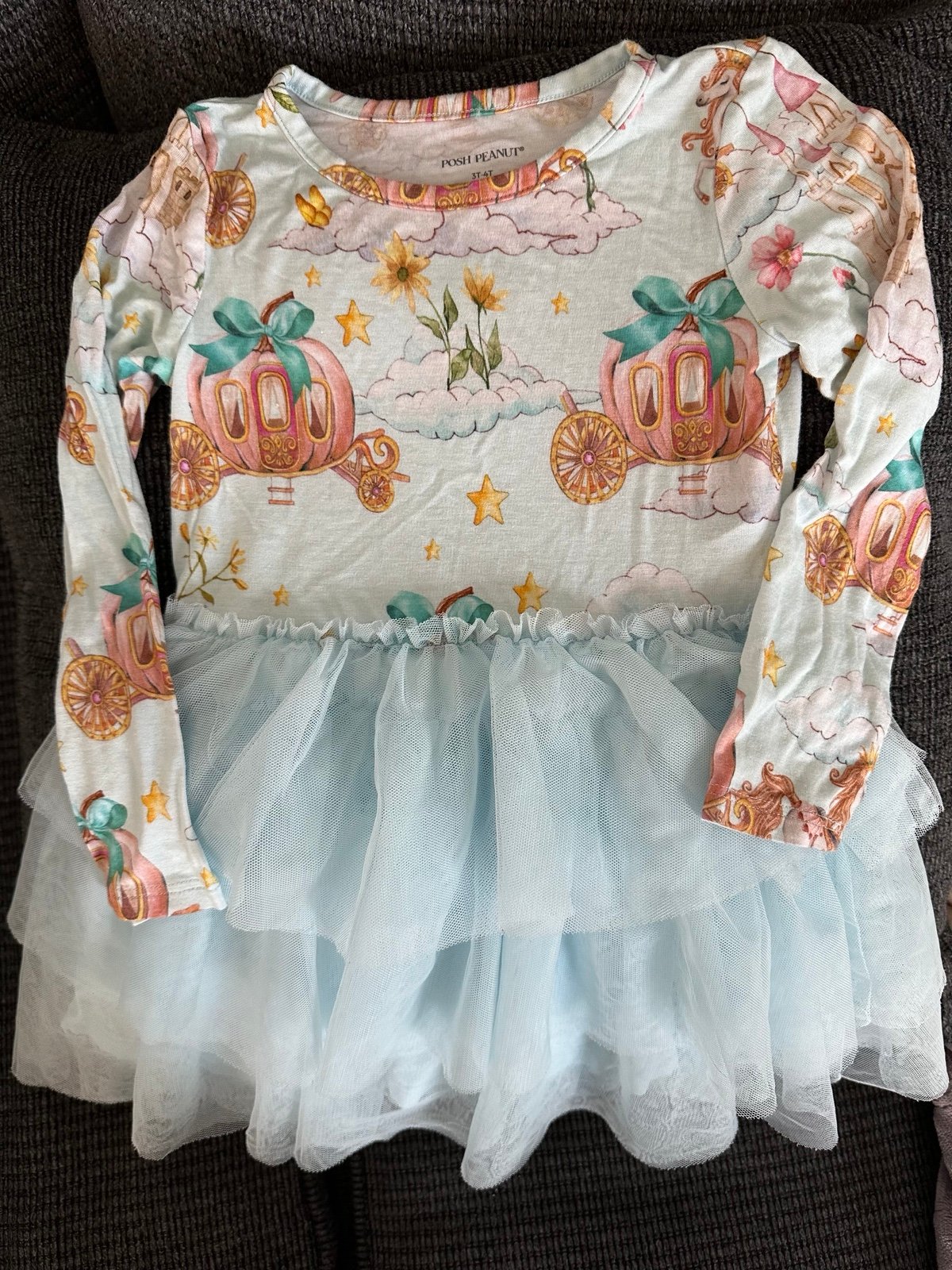 Posh Peanut Margaret Tulle Dress