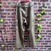 NEW Size 12 Paige Tesse Belted Faux Leather High Rise Army Green Cargo Pant