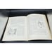 Century Of Kate Greenaway 1846 - 1946 Anne Carroll Moore Frederick Warne -A94