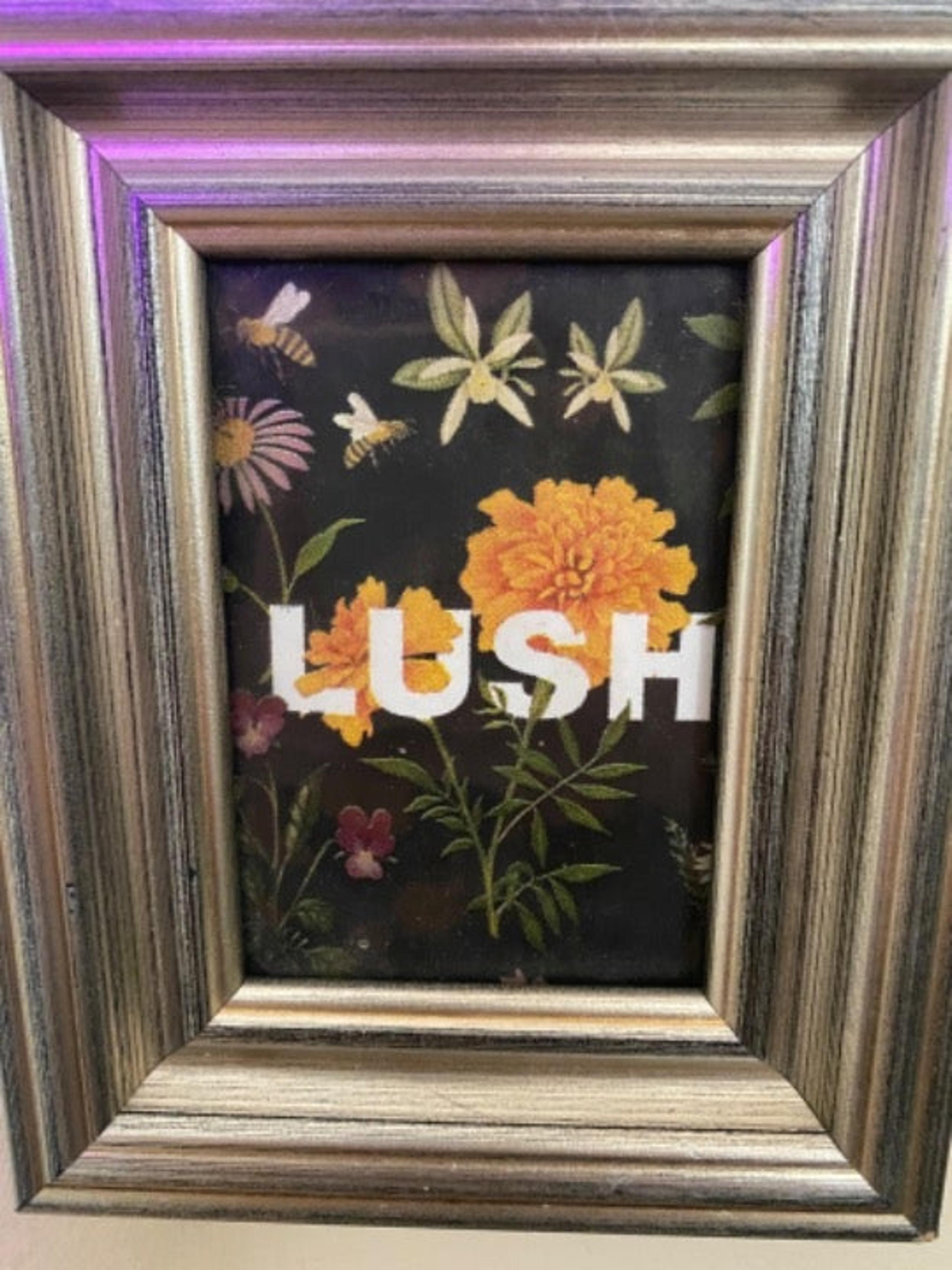 Lush Cosmetics wall art