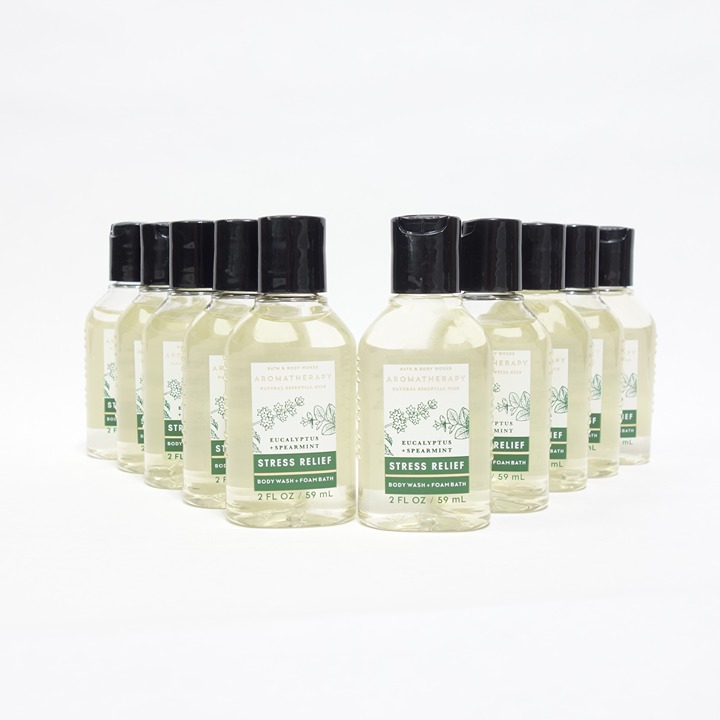 Bath Body Works 10 Eucalyptus Spearmint Travel Size 2oz Body Wash Aromatherapy
